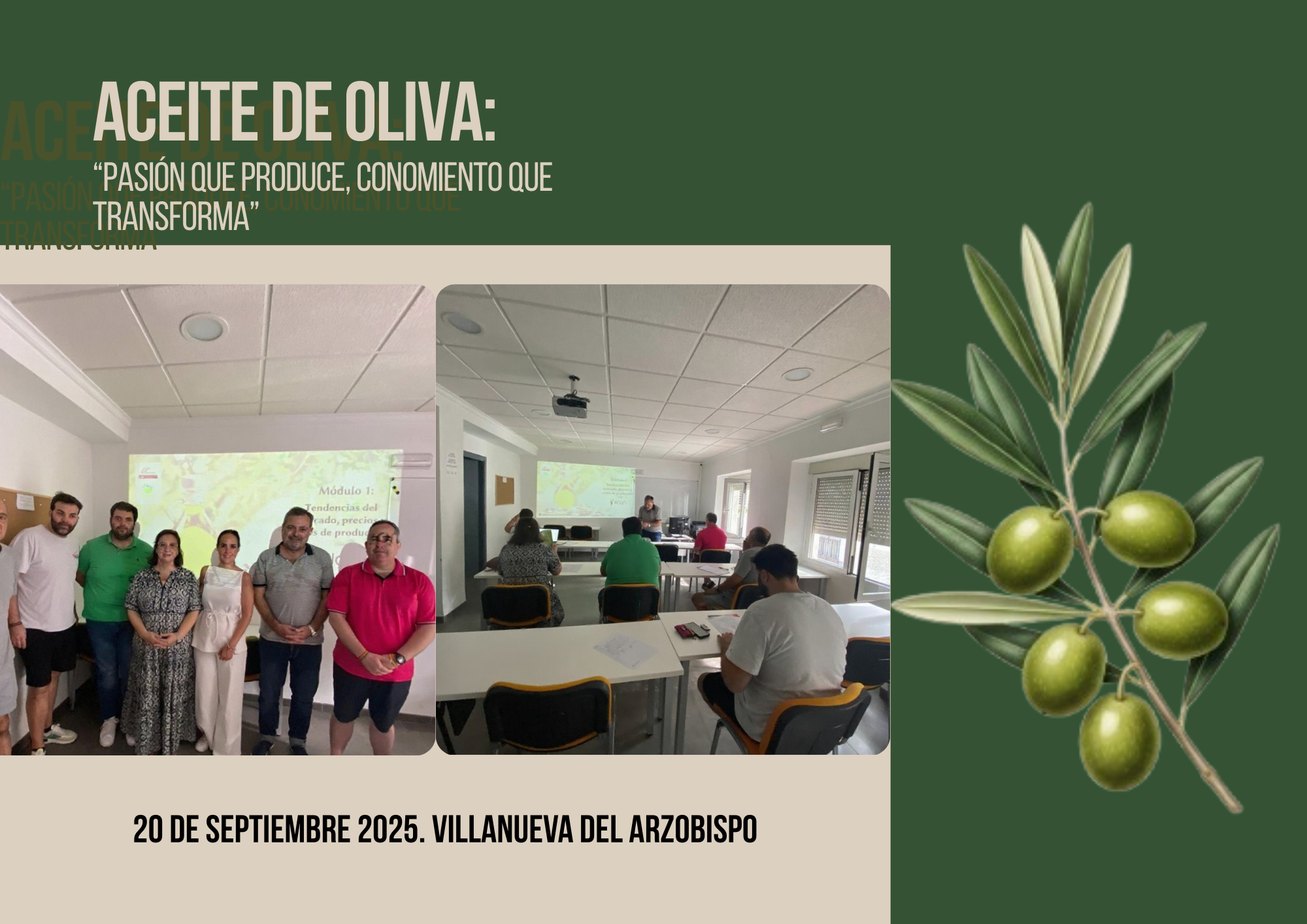 Curso Aceite de Oliva - Septiembre 2025